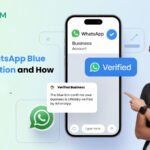 WhatsApp Blue Tick Verification